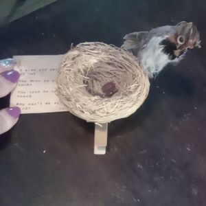 Vintage owl decor with poem